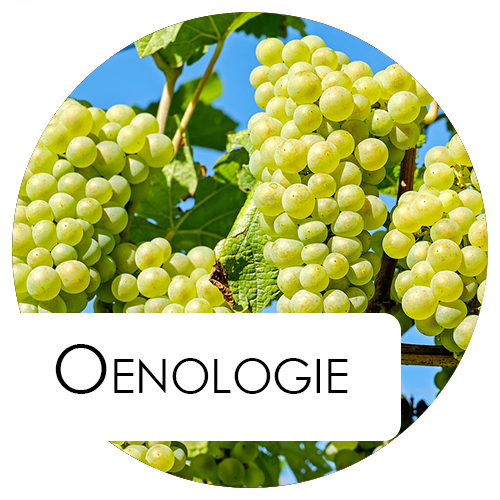 oenologie200